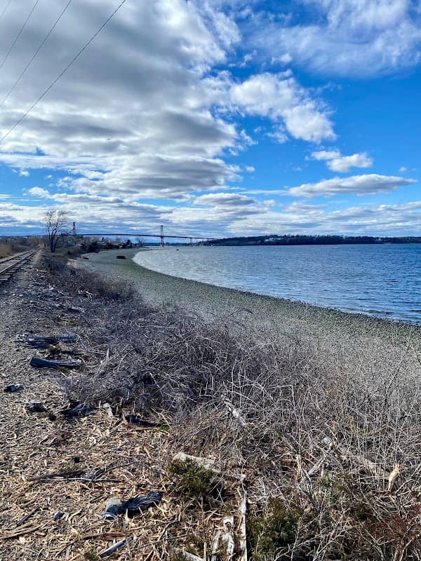 Aquidneck Land Trust - Town Pond Trail - Image 2