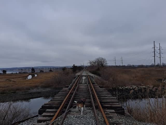 Aquidneck Land Trust - Town Pond Trail - Image 1