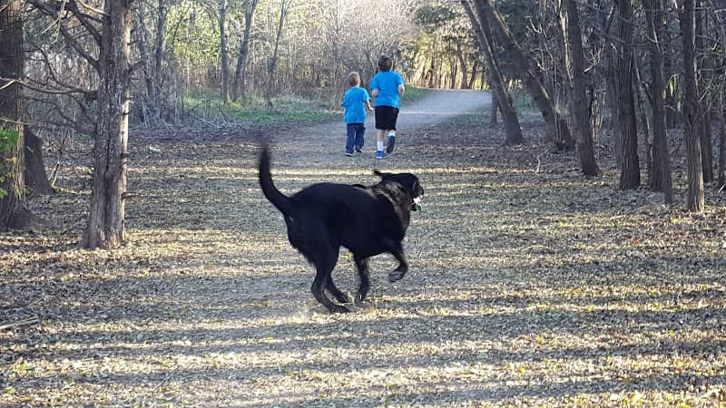 Elm Creek Park Reserve - Dog Off-leash Area - Image 2