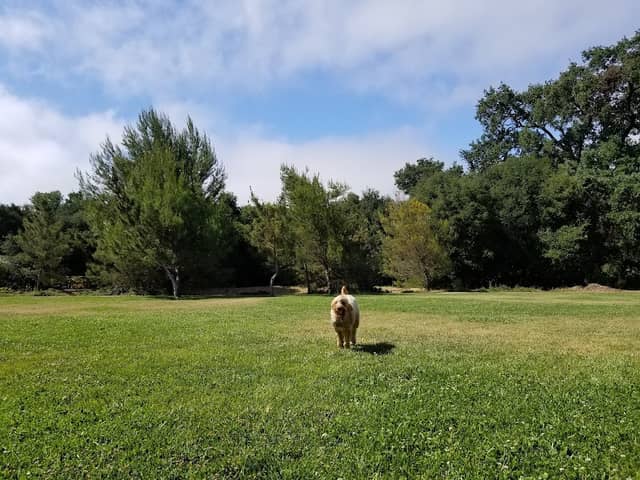 Apple Valley Park - Image 1