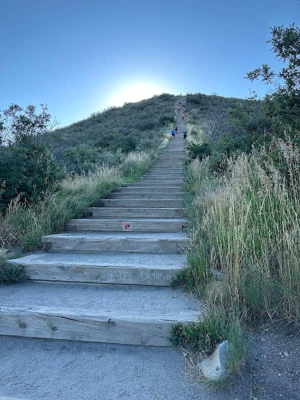 Challenge Hill and Trails at Philip S. Miller Park - Image 3