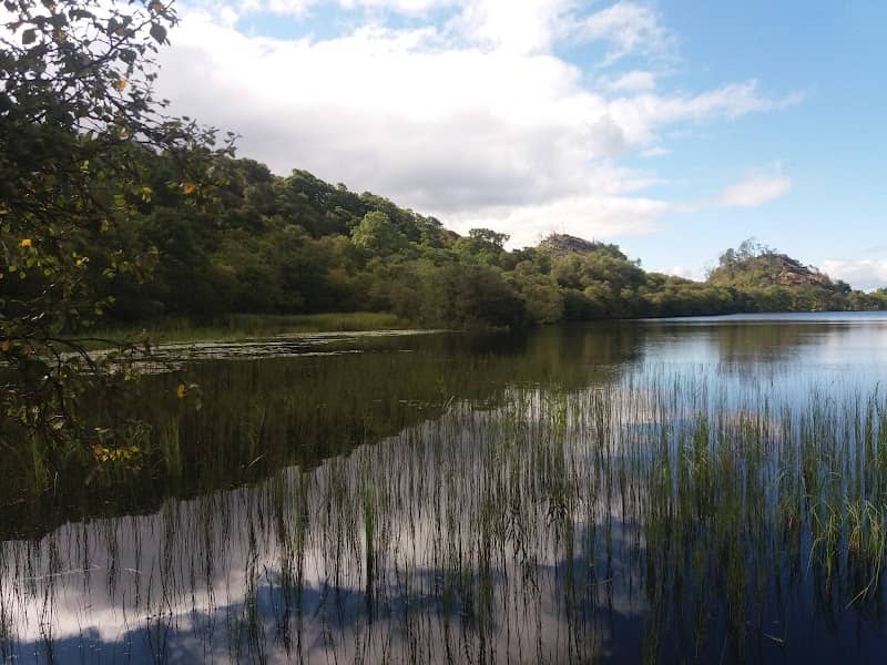 Knapdale Scottish Beaver Trail - Image 3
