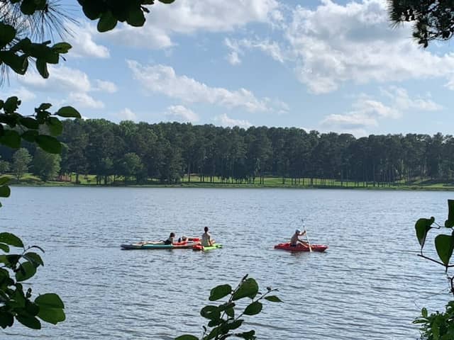 Lake - Image 2