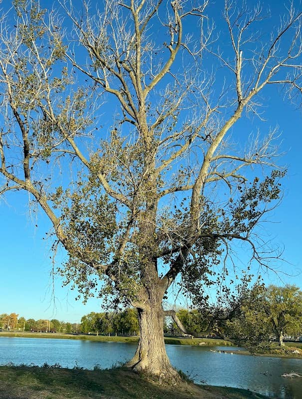 Greater Ottumwa Park - Image 1