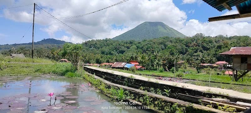 Talaga Lotus woloan tomohon - Image 1