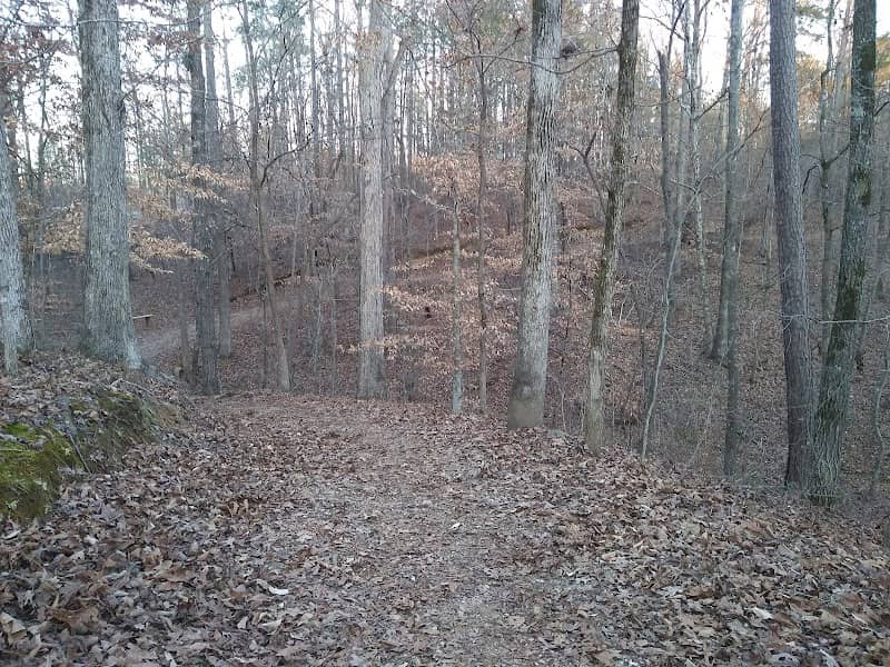 Cahaba Lily Park - Image 2