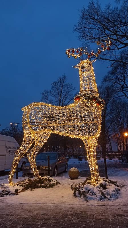 Ławeczka Ojca Medarda - Image 1