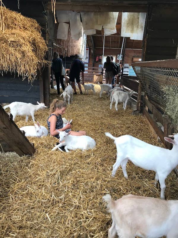 Goatfarm Ridammerhoeve - Image 1