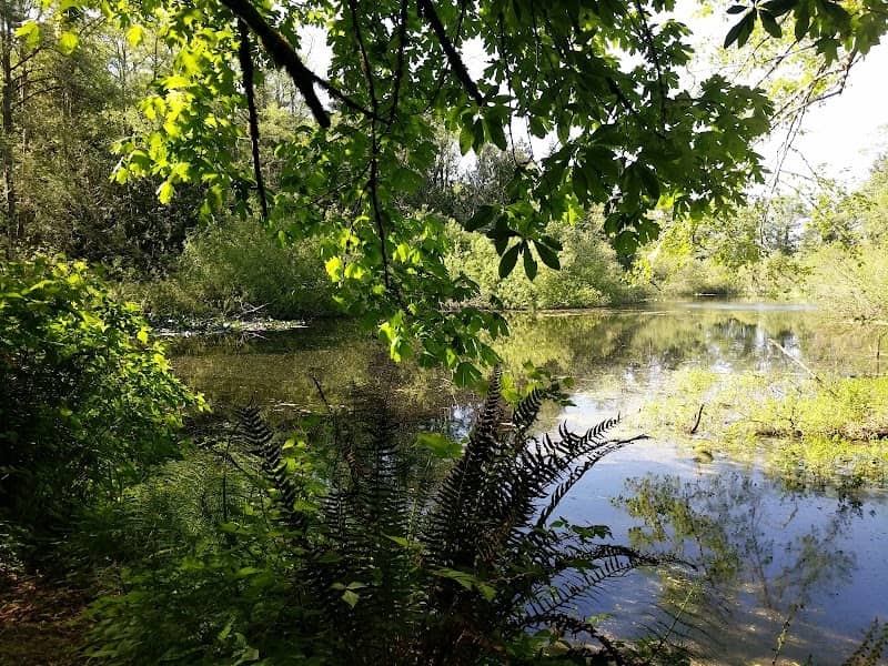 Nute's Pond Park - Image 1