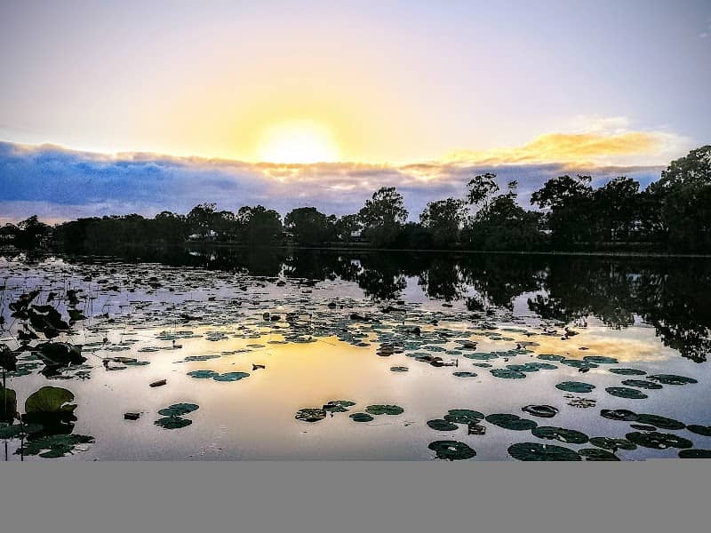 Lotus Garden Jetty - Image 2