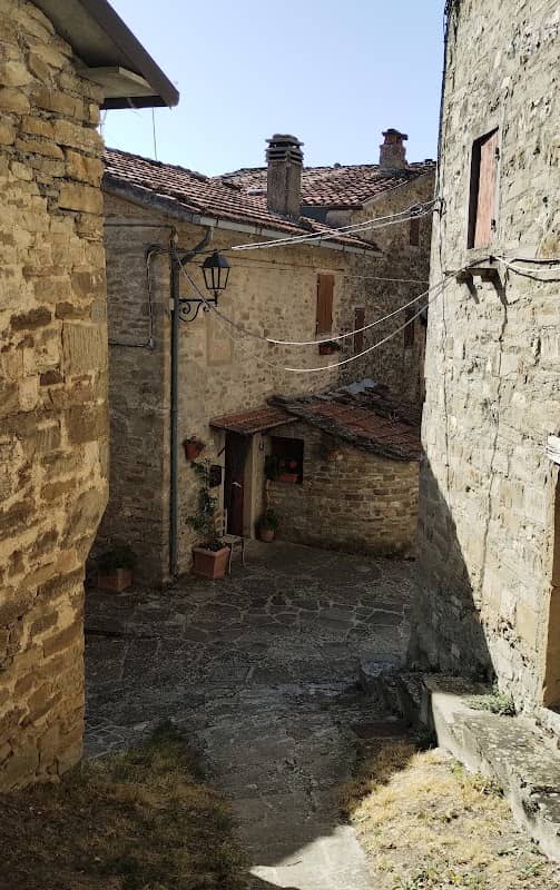 Campo - Image 1