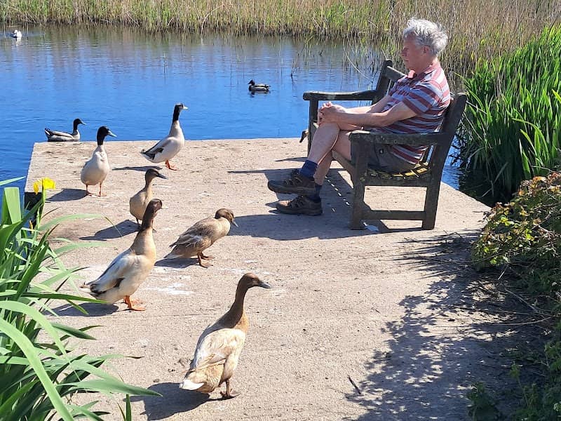 Porthloo Pond - Image 1
