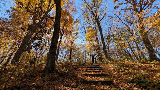 Rush River County Park - Image 2