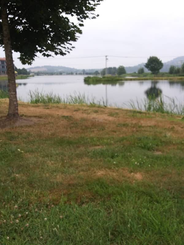 Fryelands Park - Image 2