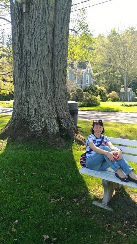 Chapin Park - Image 1