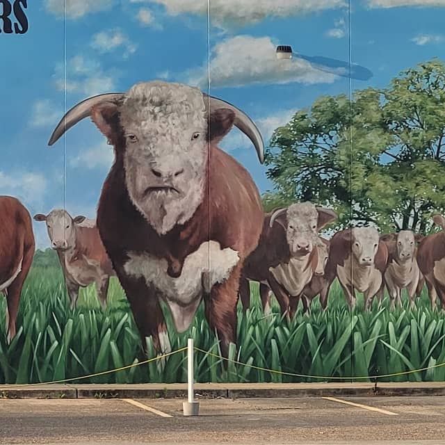 Stanton's History Mural - Image 1