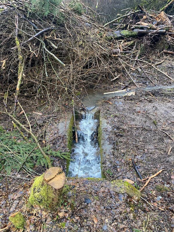 Medenbach Wasserlauf an der alten Bahntrasse - Image 1