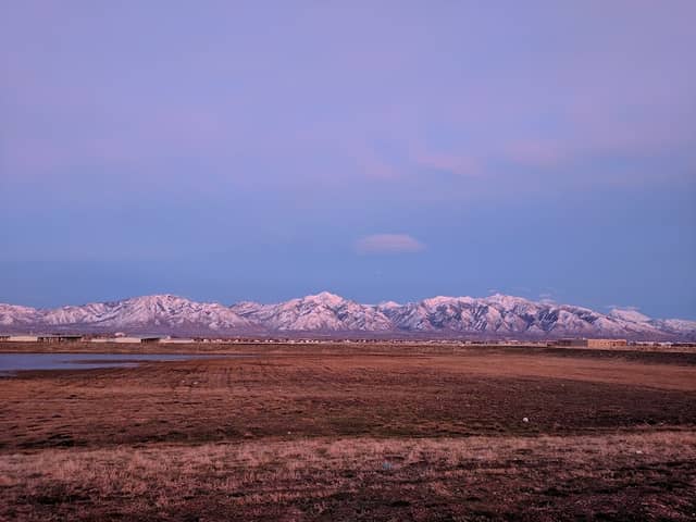 Cougar Park - Image 2