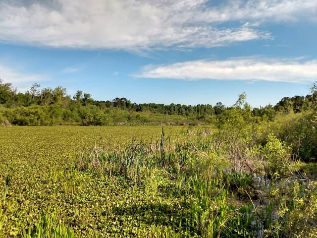Lake Pamona Park - Image 1