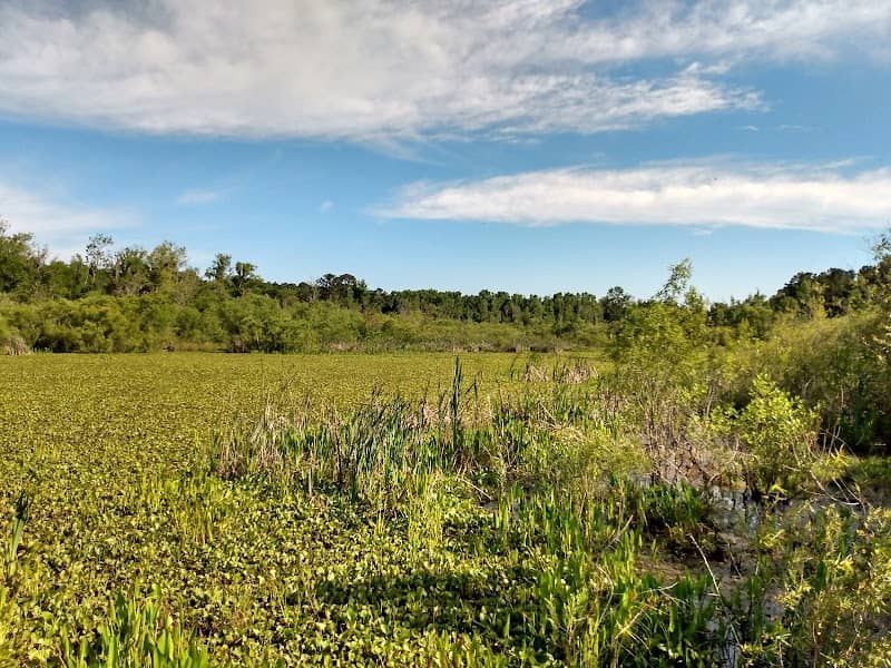 Lake Pamona Park - Image 1
