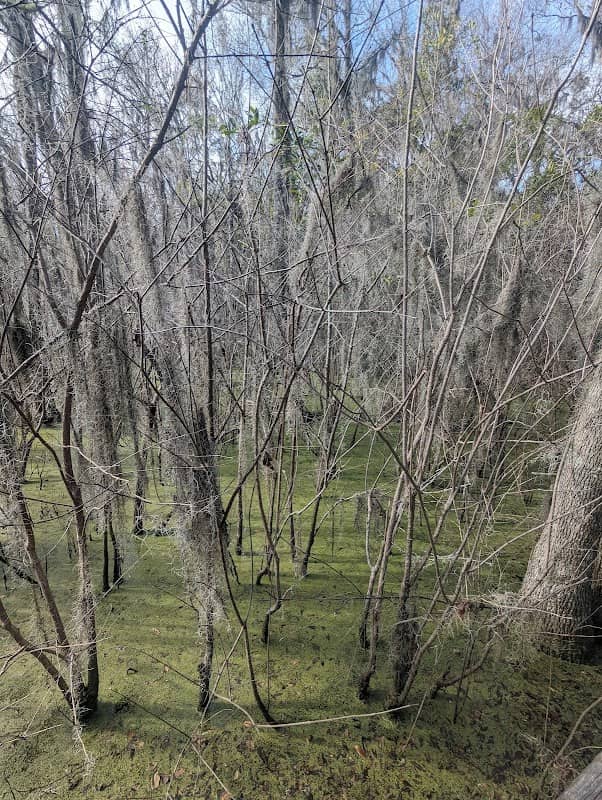 Lake Pamona Park - Image 2