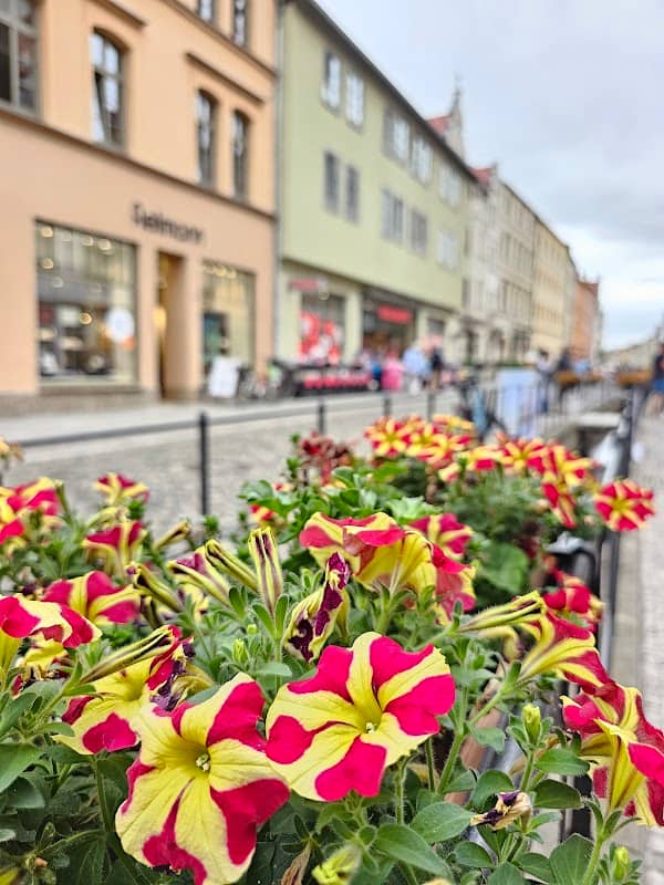 Trajuhnscher Bach in der Altstadt - Image 2
