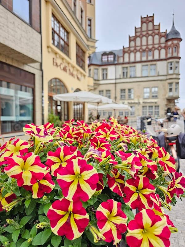 Trajuhnscher Bach in der Altstadt - Image 1