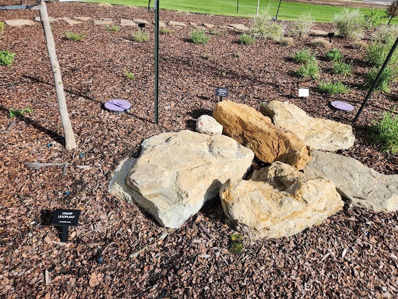 Pollinator Friendly Garden - Image 3