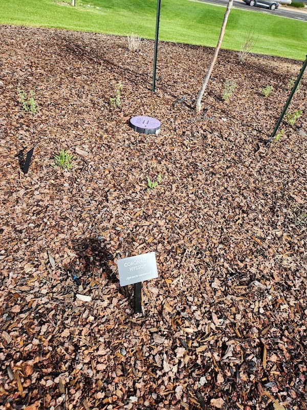 Pollinator Friendly Garden - Image 2