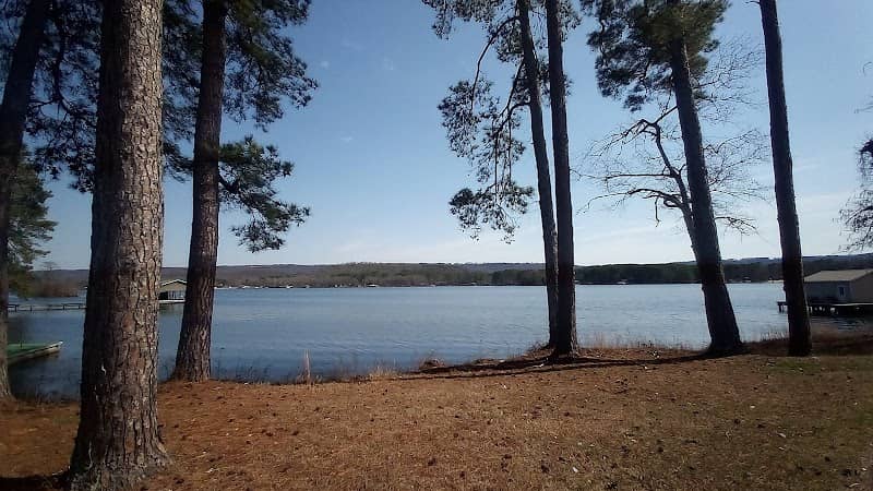 Scottsboro Municipal Park - Image 2