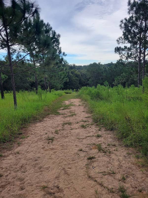 Hidden Waters Preserve - Image 2