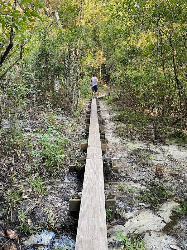 Hidden Waters Preserve - Image 1