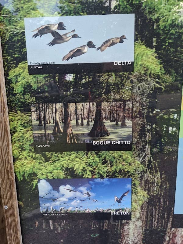 Southeast Louisiana National Wildlife Refuges - Image 2