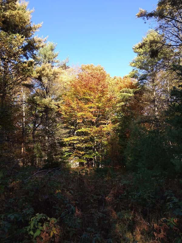 Meridian County Park - Image 1
