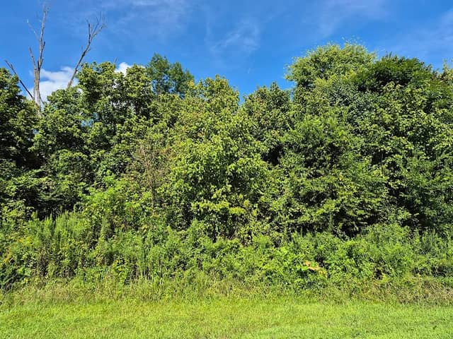 Irish Buffalo Creek Greenway Access - Image 2