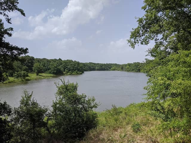 Post Oak - Dallas County Nature Preserve - Image 1