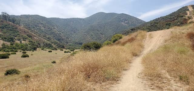 Skyline Drive Trailhead - Image 1