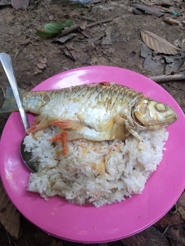 Memahak teboq - Image 1