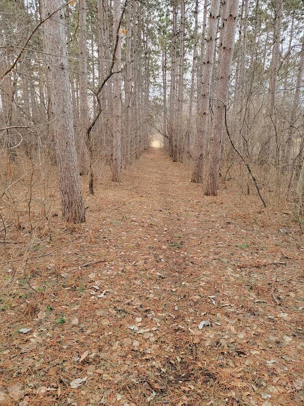 Woodcrest Park - Image 2