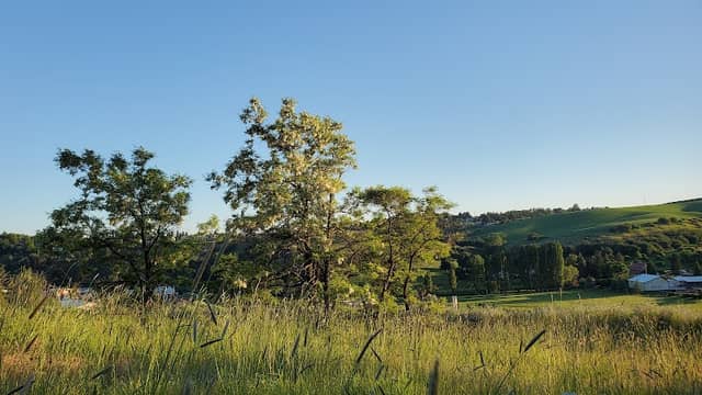 Conservation Park - Image 3