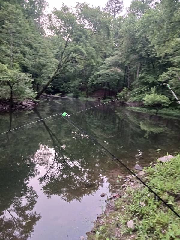 Little Blakely Trailhead - Image 2