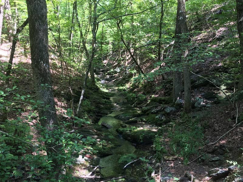 Little Blakely Trailhead - Image 1