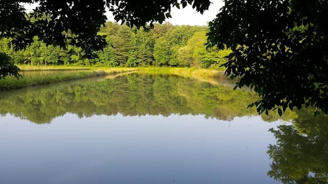 Evans McKinney Park - Image 2