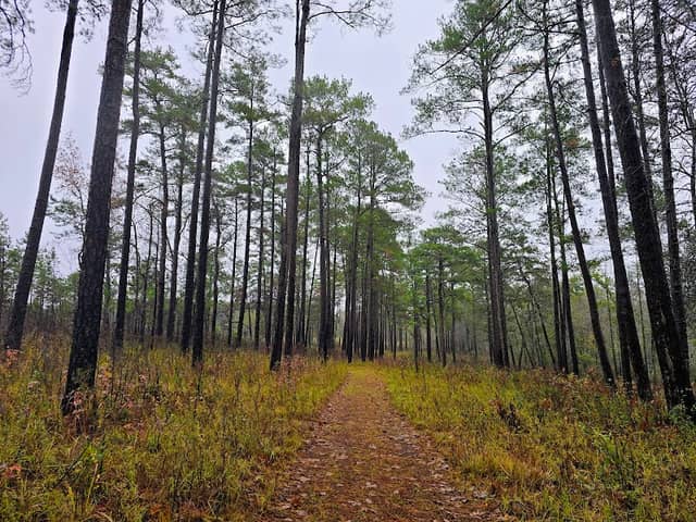 Birdsong Nature Center - Image 2