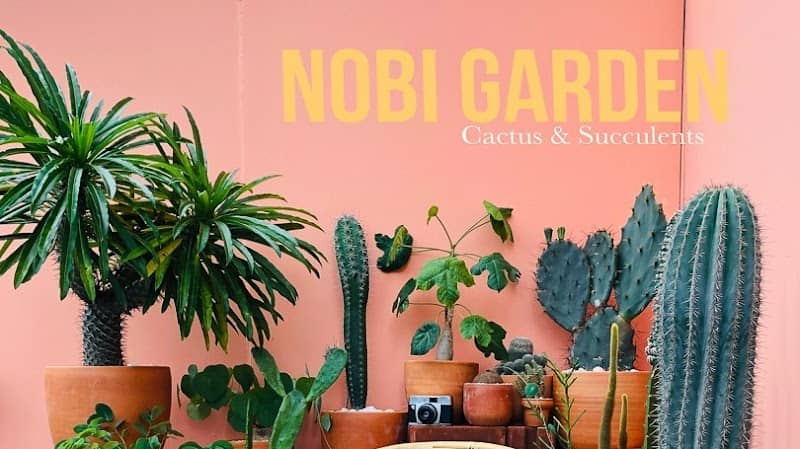 Nobi Garden(โนบิการ์เด้น) - Image 1