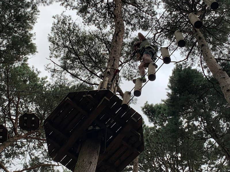 Go Ape Coventry - Image 1
