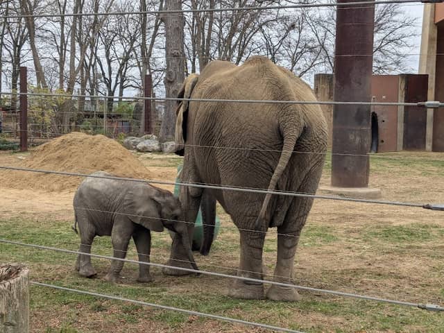 Tembo Trail - Image 1