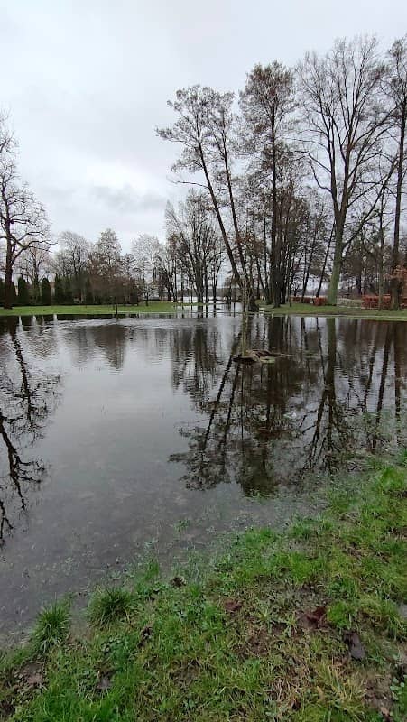 Park Kardynała Stefana Wyszyńskiego - Image 1