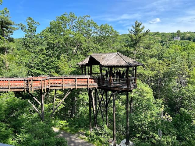 Dave Wenzel Tree House at Nay Aug Park - Image 2