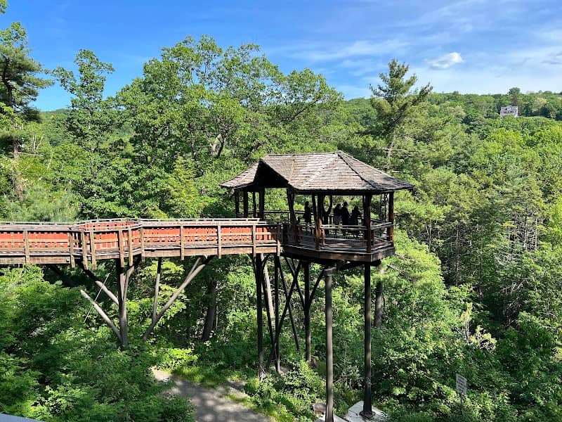 Dave Wenzel Tree House at Nay Aug Park - Image 2